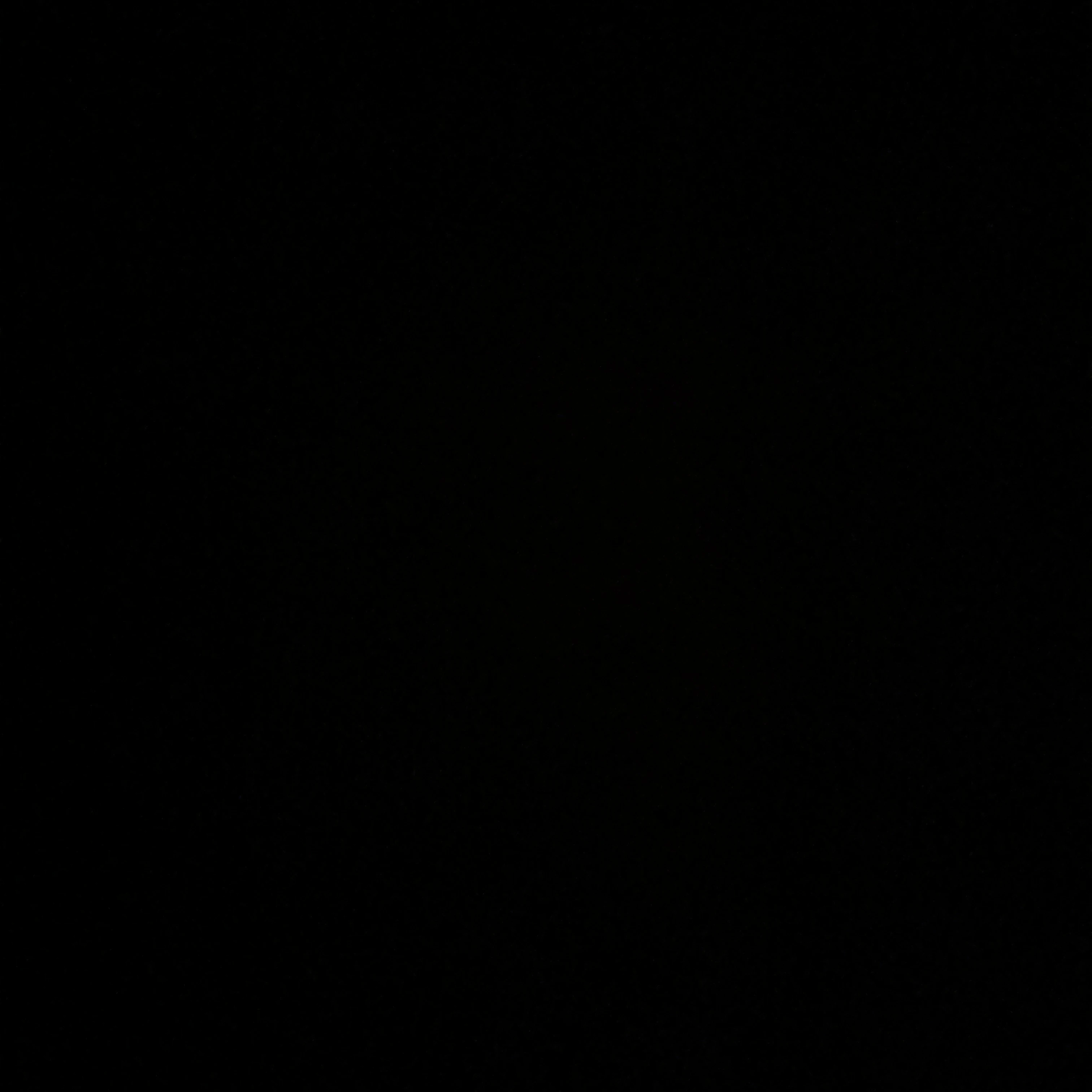 회장님
