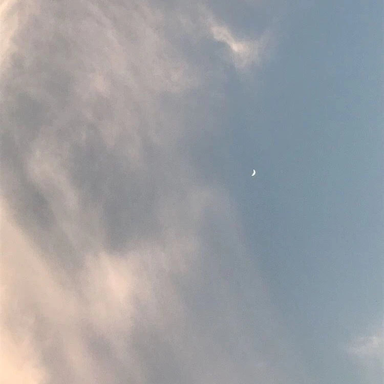 ゆうと