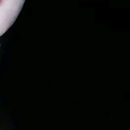 최_범_규