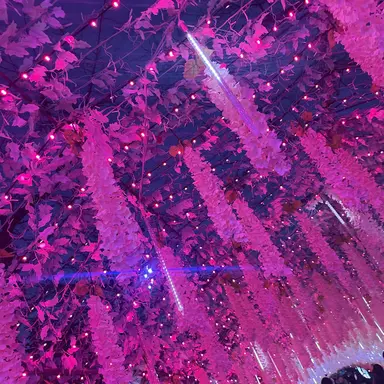 Profile image of ジス