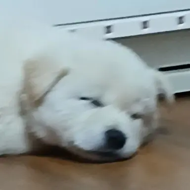 Profile image of 지환