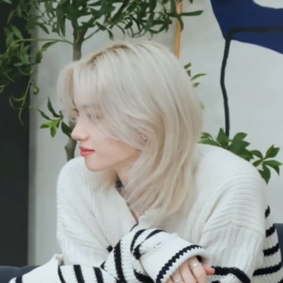 STAY6516의 이용복