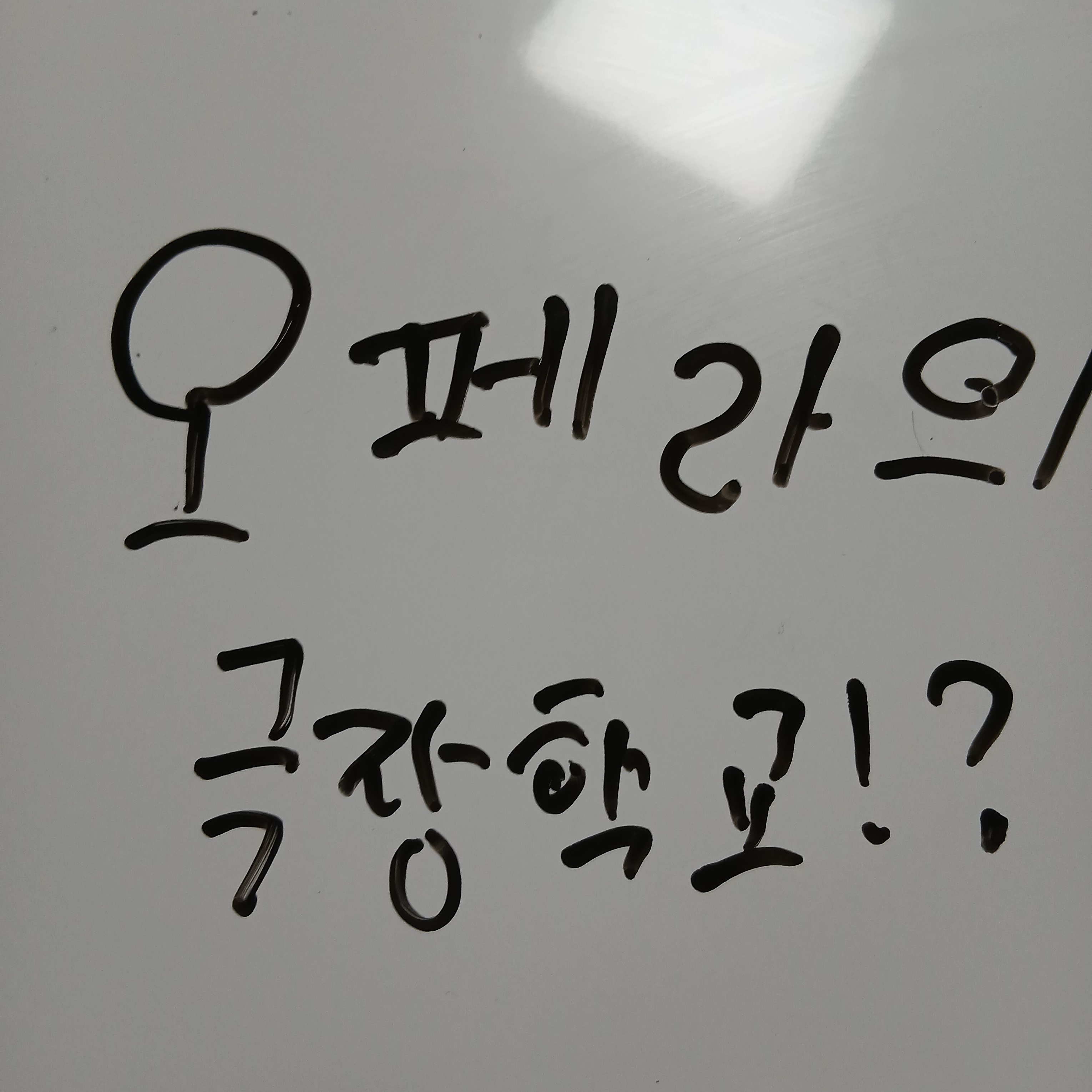 오페라의 극장 학교!(여우랑늑대포함) 대표 이미지