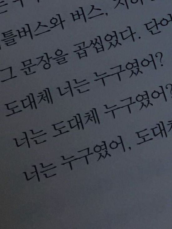 낙화(落花) 대표 이미지