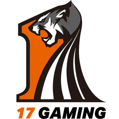 Profile image of 17gaming