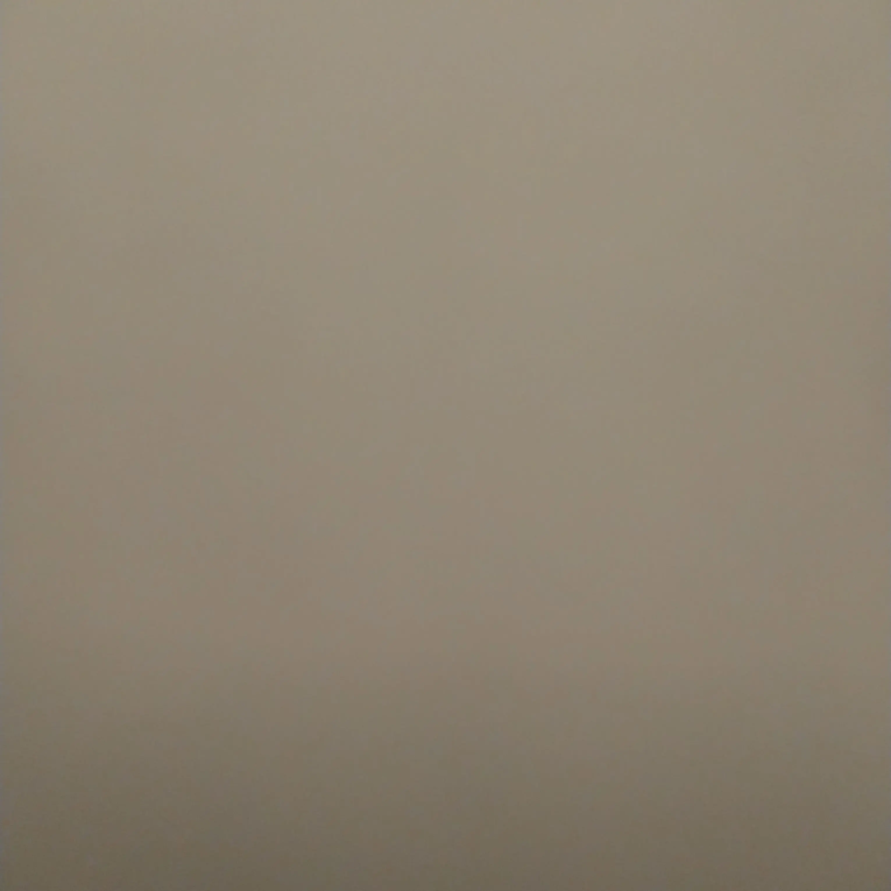 S.V.T의 13명의 오빠들과의 설날