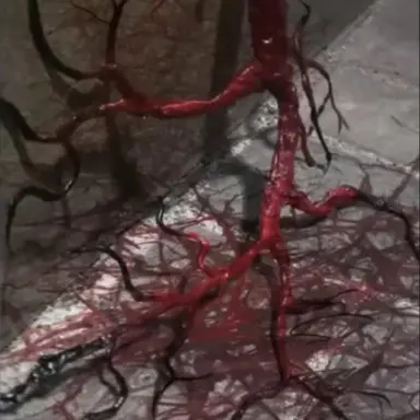 Profile image of 크롤