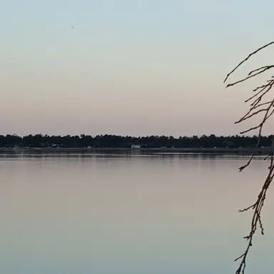 Profile image of 사네미