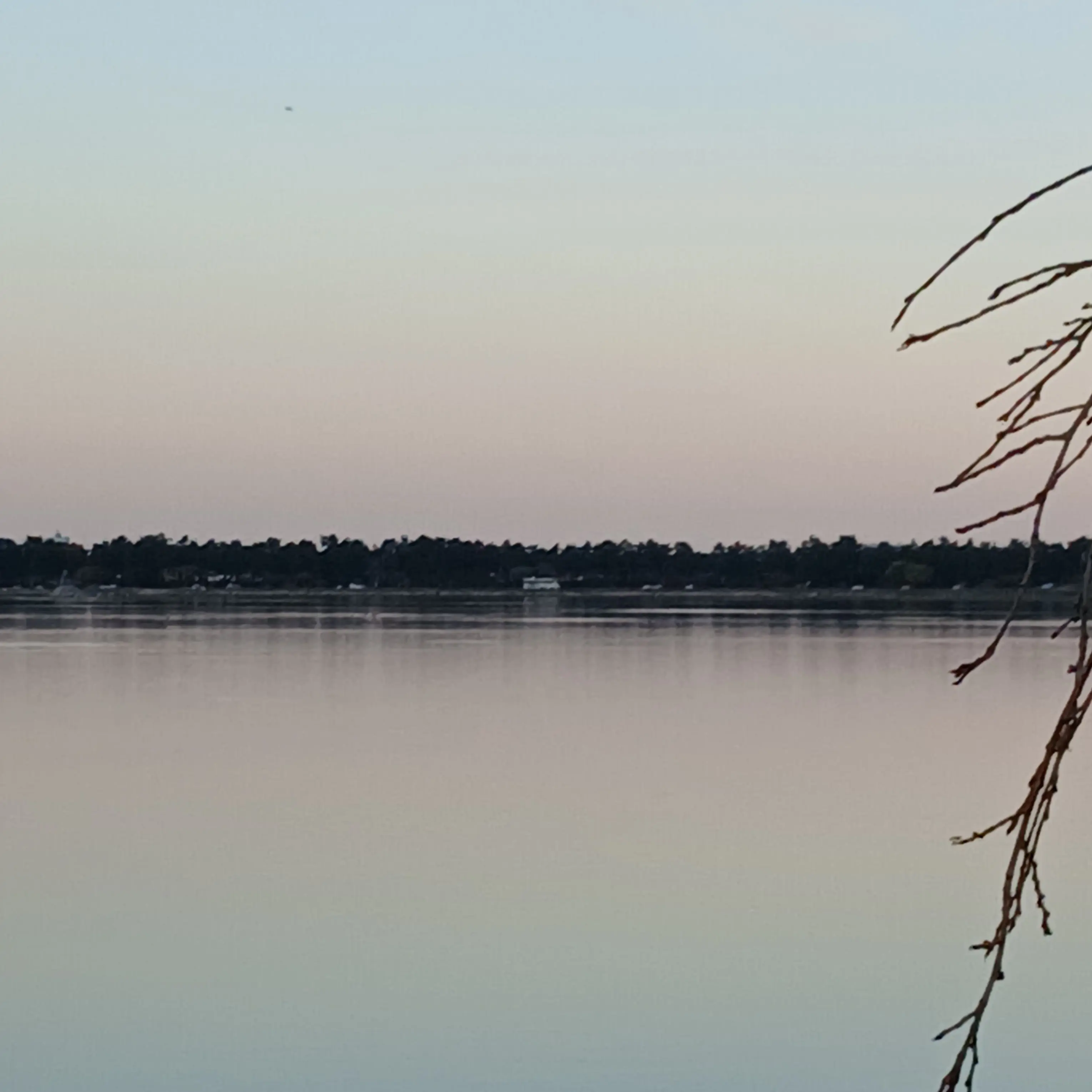 FirmHoop7719의 귀칼인데 인어고 여우가 있음