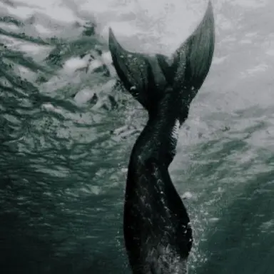 Profile image of 카렌