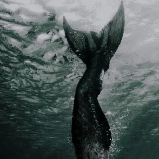 H_iDo의 잼민이 인어 키우기