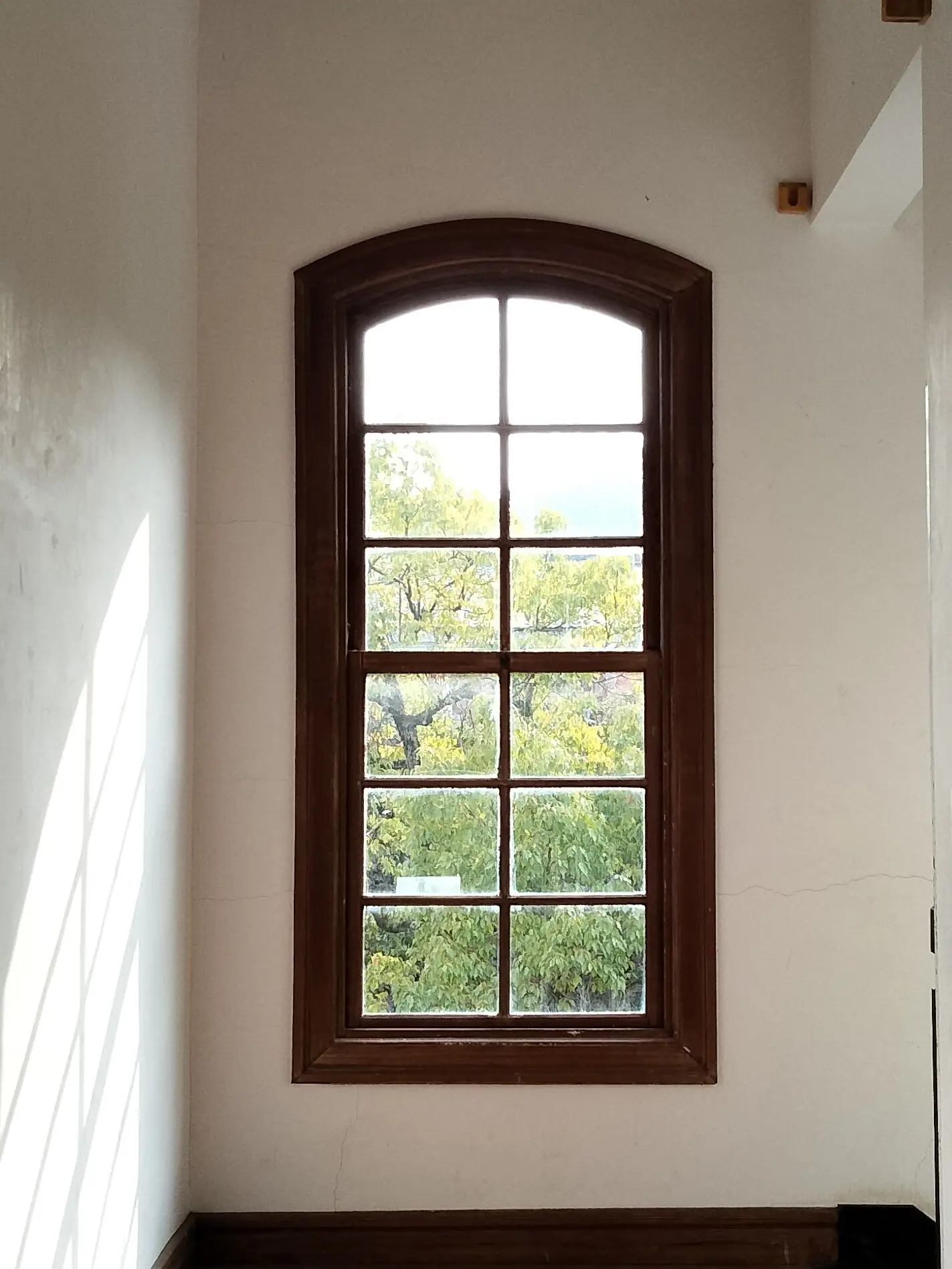 OpenRadar0450의 妹を溺愛する兄たち