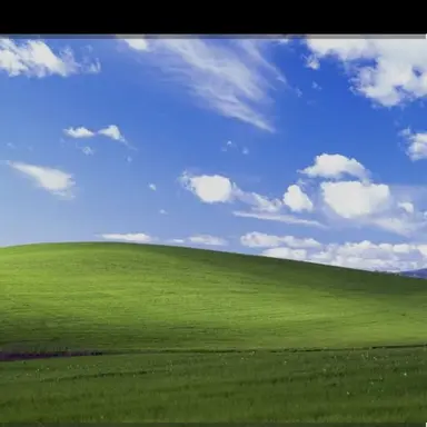 Profile image of 개최자