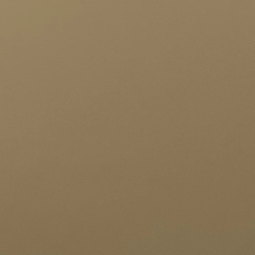 최_수_빈