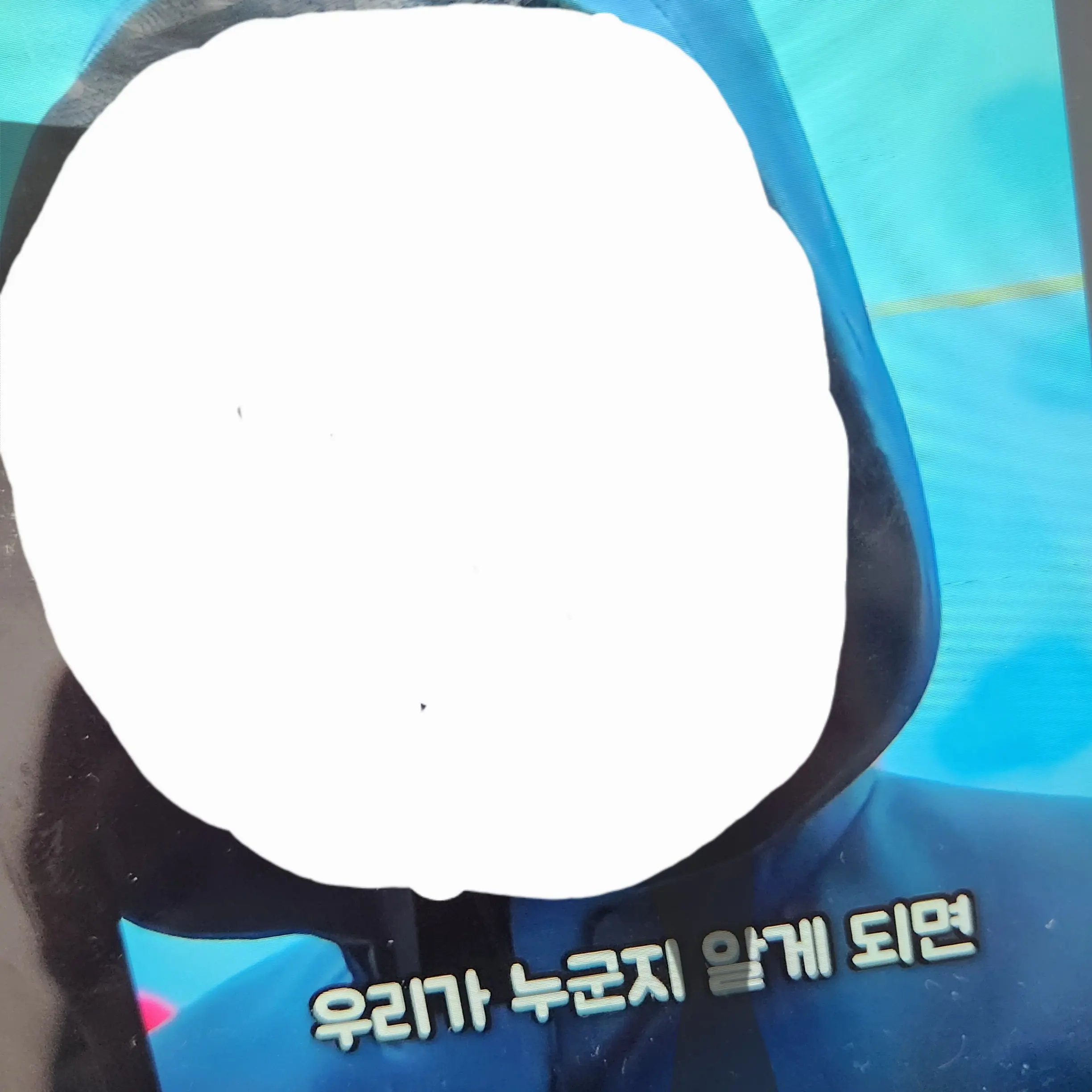 WiseProbe9496의 프론트맨
