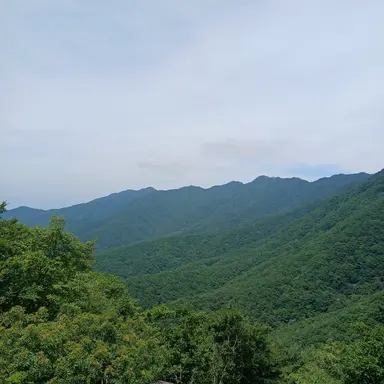 Profile image of ex. 고고프렌즈