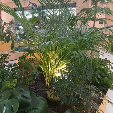 Profile image of 라경사