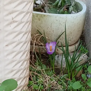 Profile image of 잠경위