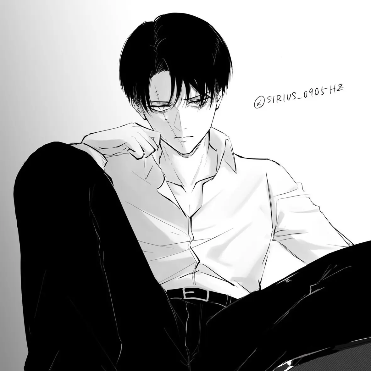 .som의 기대해도 좋다