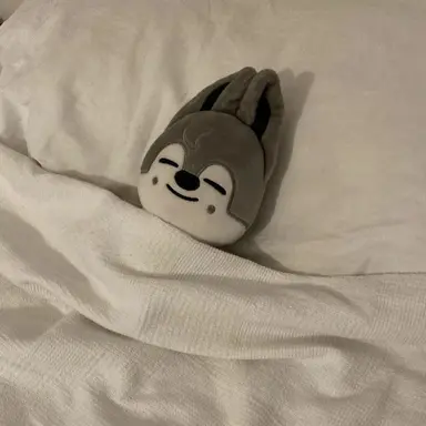 Profile image of 방찬