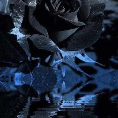 Profile image of もふ