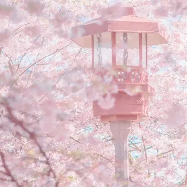 Profile image of ゆあん