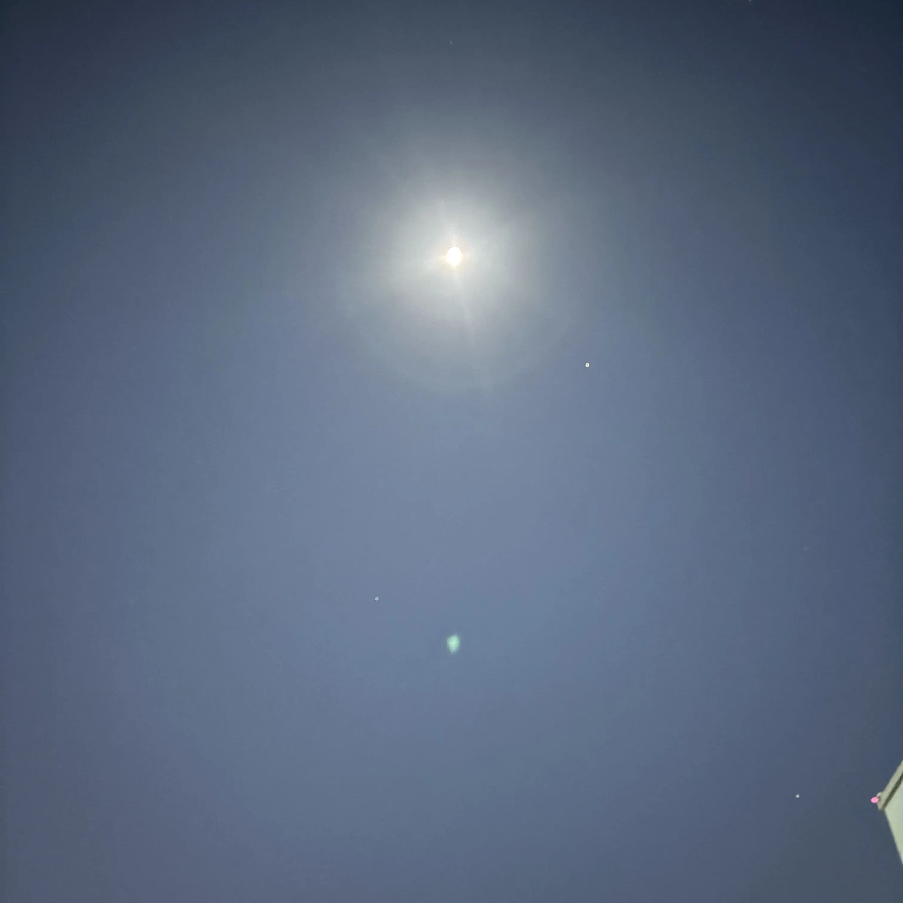 RearCow2581의 기아타이거즈 선수생활