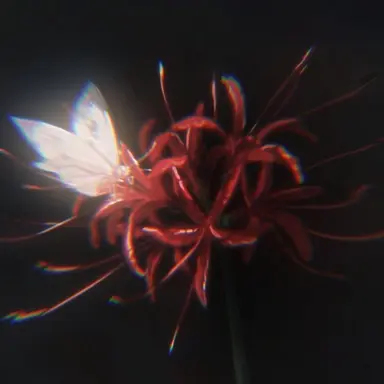 Profile image of 한지성