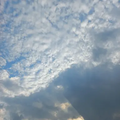 Profile image of 류