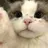 飼い主