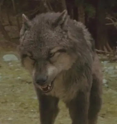 Profile image of Paul Lahote