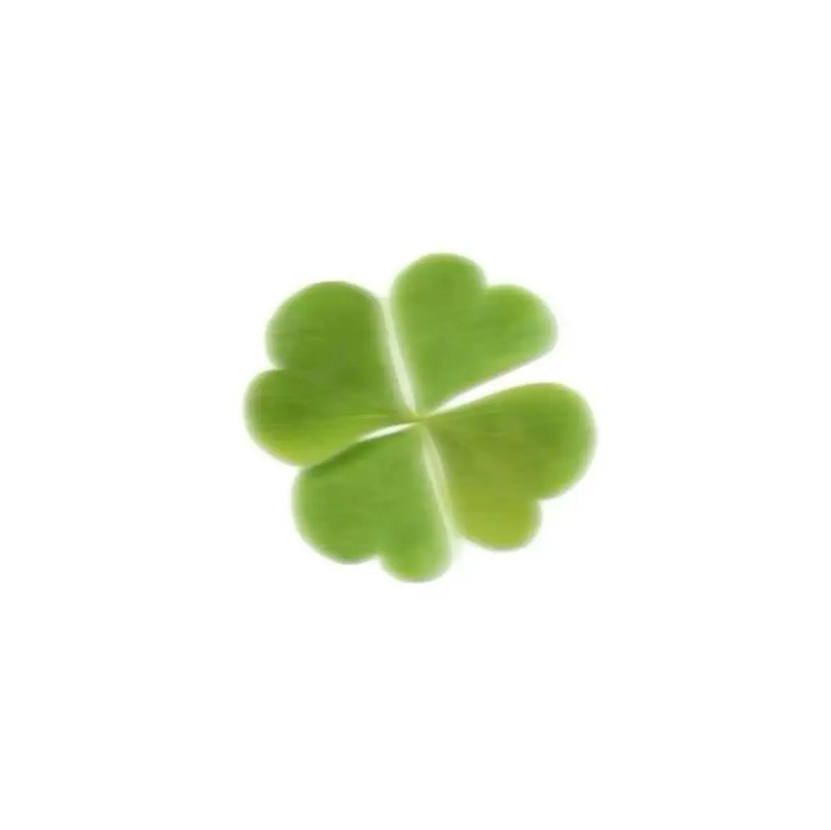 ColdFlame2392의 溺愛彼氏