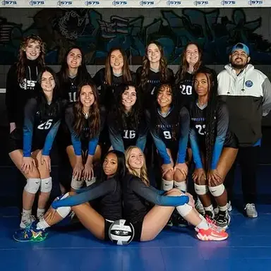 Profile image of Volleyball team
