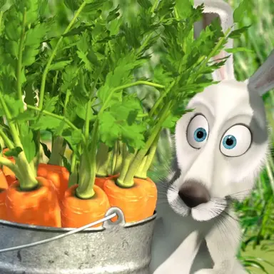 Profile image of 토끼