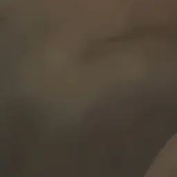 Profile image of 杉元佐一先生