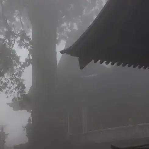 mok.a의 忘れられた山の神