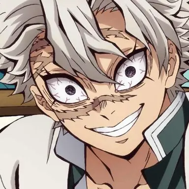 Profile image of Sanemi Shinazugawa