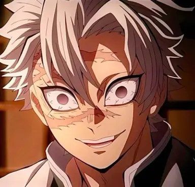 Profile image of Sanemi Shinazugawa