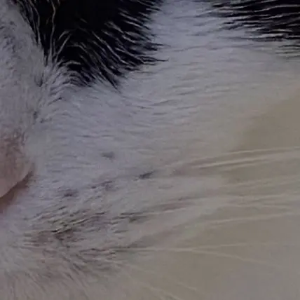 RainyOptic7150의 お兄ちゃん