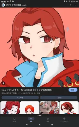 Profile image of Mr. Red
