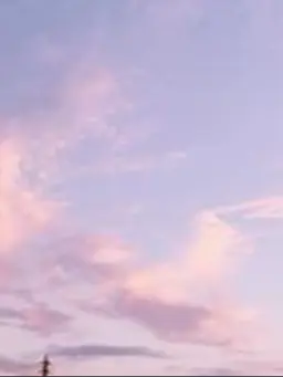 NANOKA-의 花魁の{{user}}
