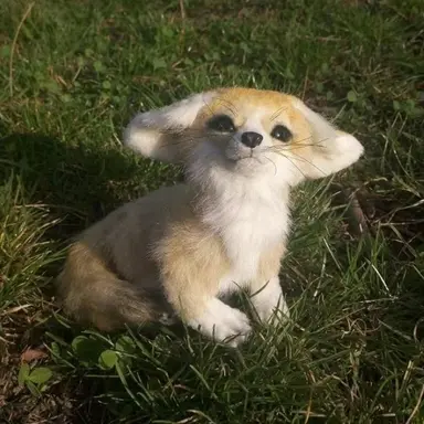 Profile image of 정인