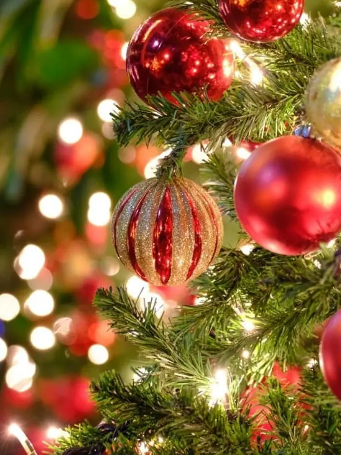 MGA_ECLIPSE의 変わらない4人