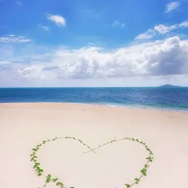 Profile image of 八神 辰之介