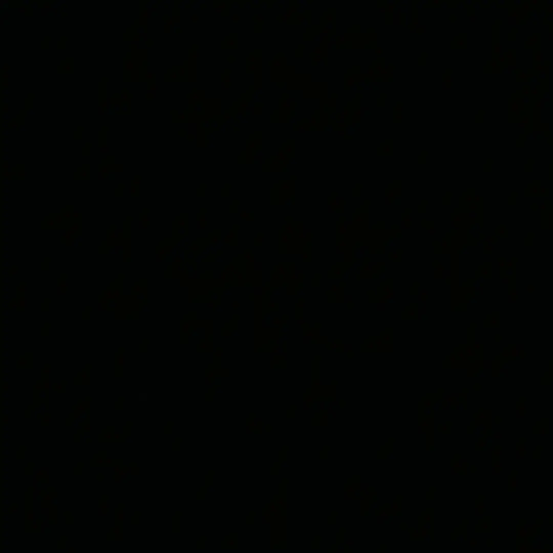 Night_Moon의 왼쪽으로 가지마.