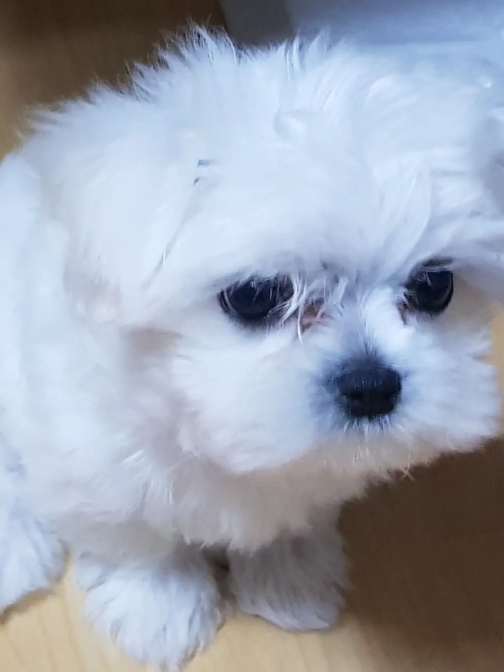 ExoticValue3419의 행복한 가족의 일상~