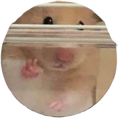 Profile image of 햄식이