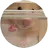 햄식이