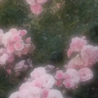 Profile image of 宇佐美
