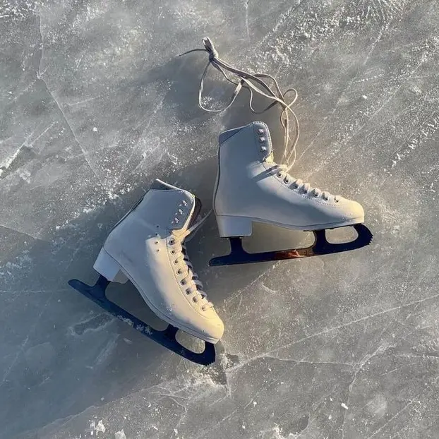 FoulTuba4422의 ⛸️